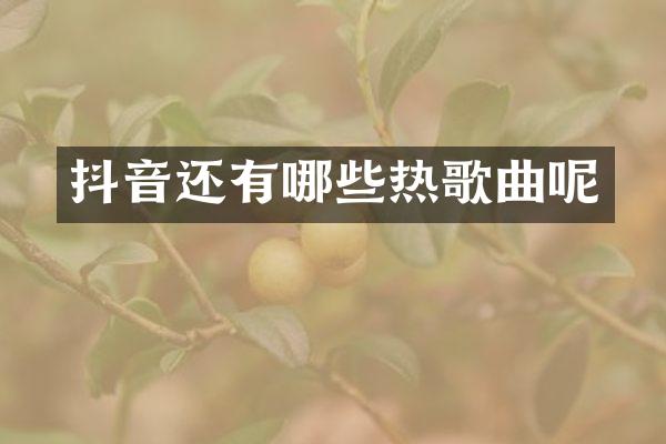 抖音还有哪些热歌曲呢