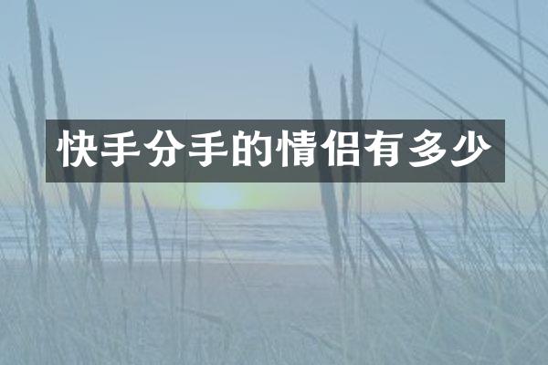 快手分手的情侣有多少
