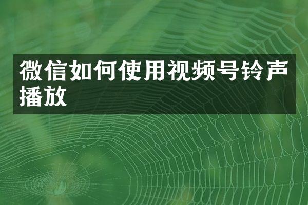 微信如何使用视频号铃声播放