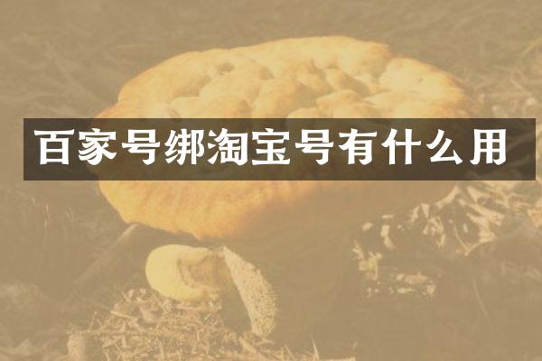 百家号绑淘宝号有什么用