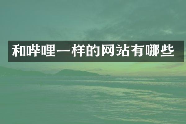 和哔哩一样的网站有哪些