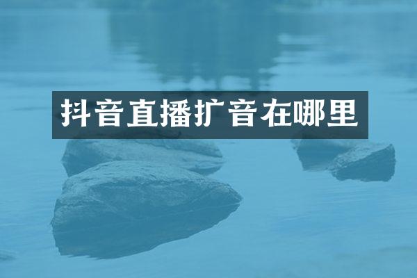 抖音直播扩音在哪里