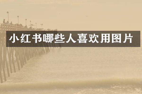 小红书哪些人喜欢用图片