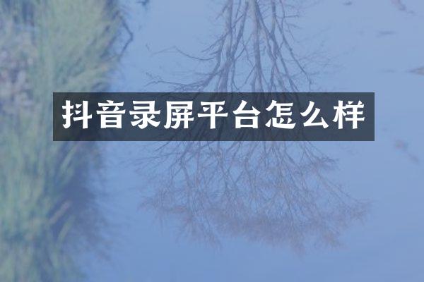抖音录屏平台怎么样