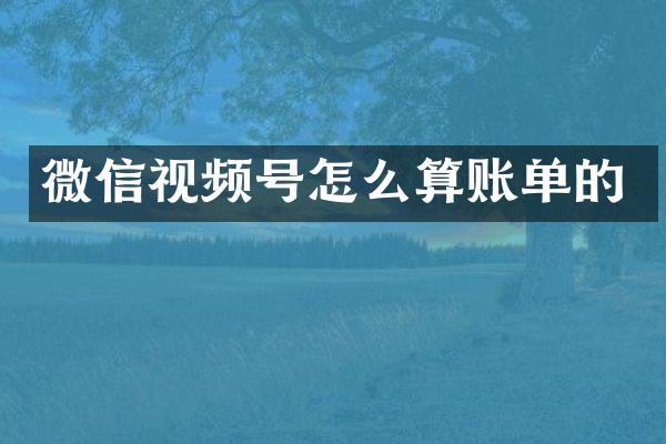 微信视频号怎么算账单的