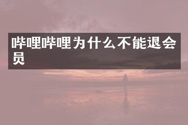 哔哩哔哩为什么不能退会员