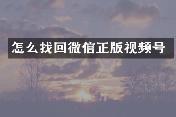 怎么找回微信正版视频号