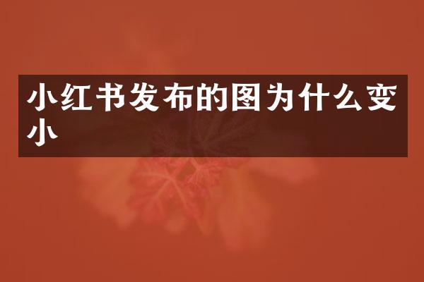 小红书发布的图为什么变小