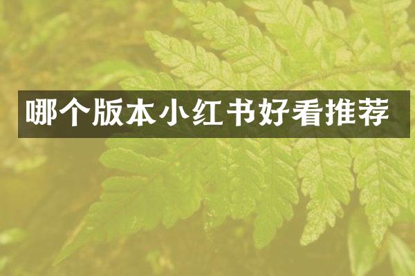 哪个版本小红书好看推荐