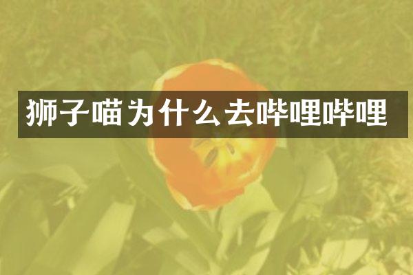 狮子喵为什么去哔哩哔哩