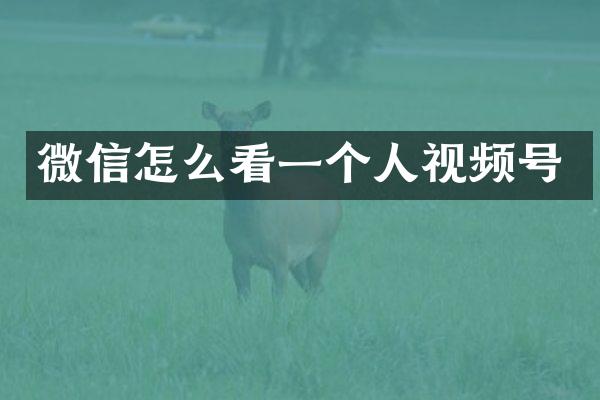 微信怎么看一个人视频号