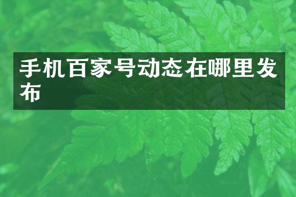 手机百家号动态在哪里发布