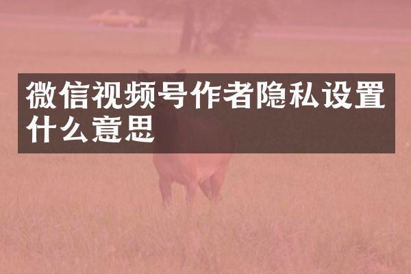 微信视频号作者隐私设置什么意思