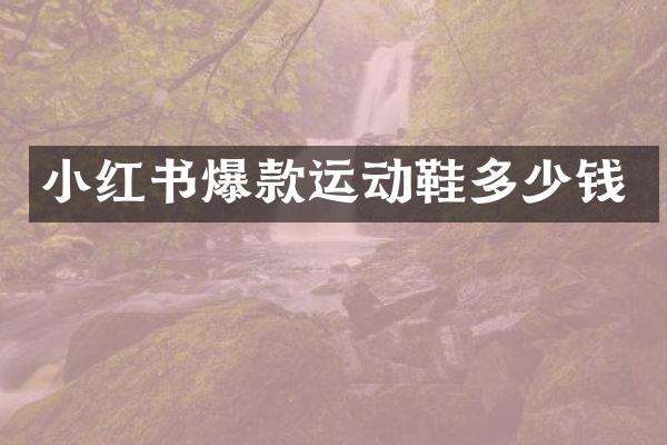小红书爆款运动鞋多少钱
