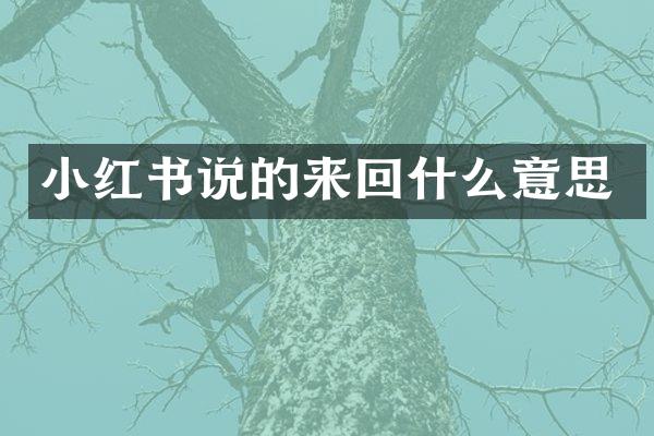 小红书说的来回什么意思