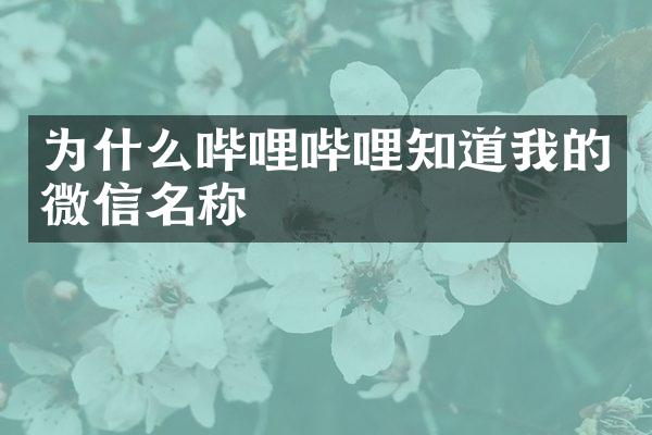 为什么哔哩哔哩知道我的微信名称