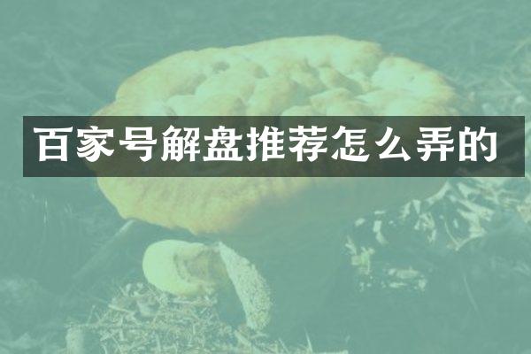 百家号解盘推荐怎么弄的