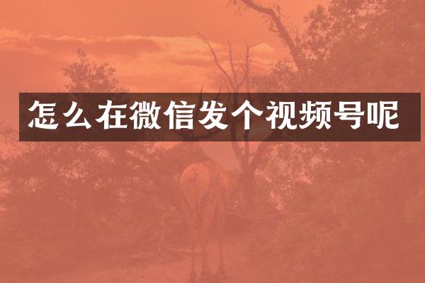 怎么在微信发个视频号呢