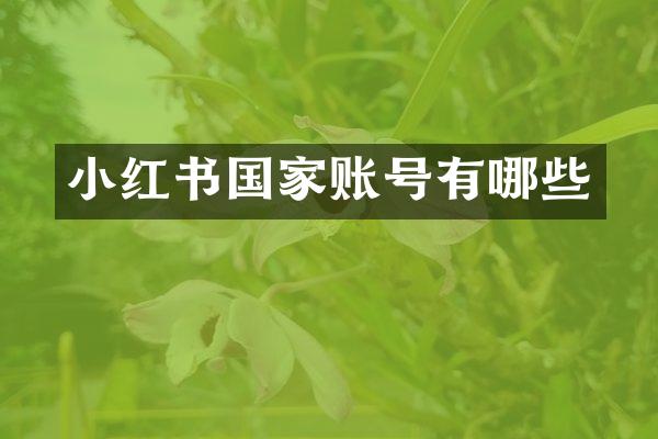 小红书国家账号有哪些