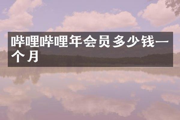 哔哩哔哩年会员多少钱一个月