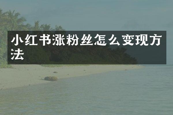 小红书涨粉丝怎么变现方法