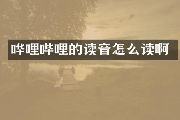 哗哩哔哩的读音怎么读啊