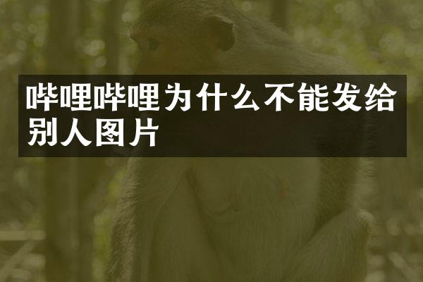 哔哩哔哩为什么不能发给别人图片