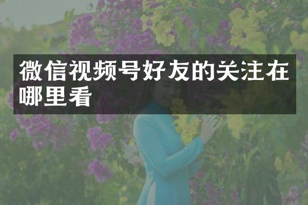 微信视频号好友的关注在哪里看