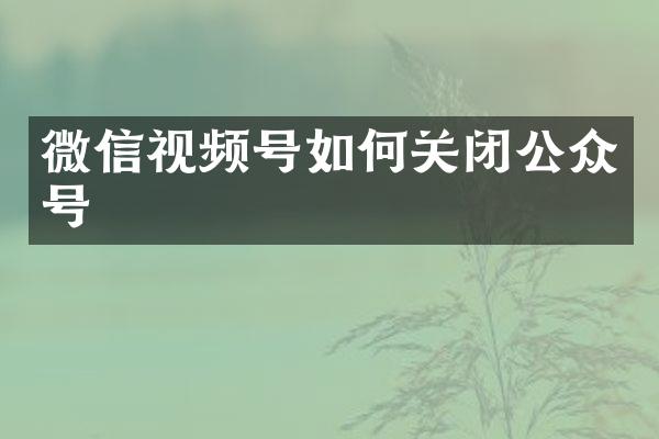 微信视频号如何关闭公众号