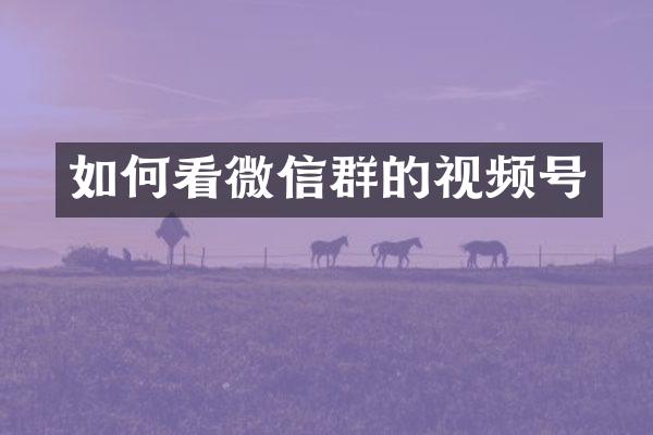 如何看微信群的视频号
