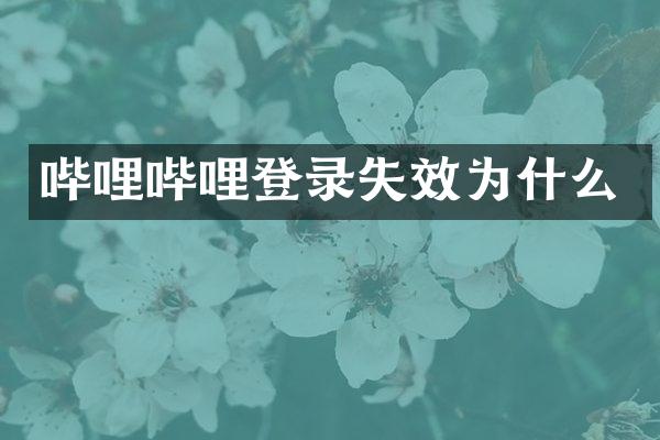 哔哩哔哩登录失效为什么
