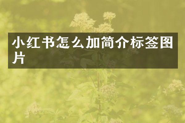 小红书怎么加简介标签图片