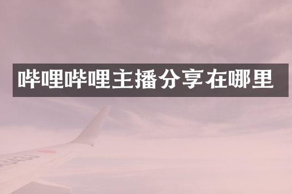 哔哩哔哩主播分享在哪里
