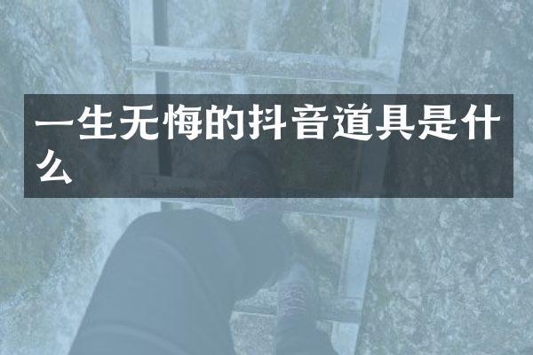 一生无悔的抖音道具是什么