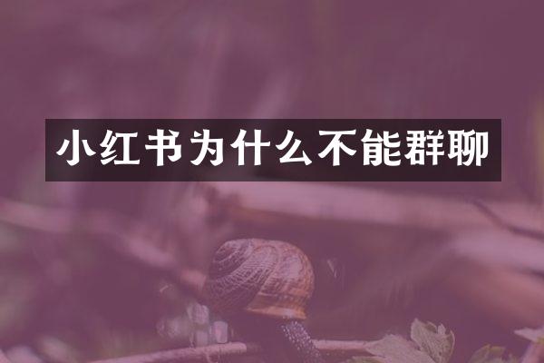 小红书为什么不能群聊