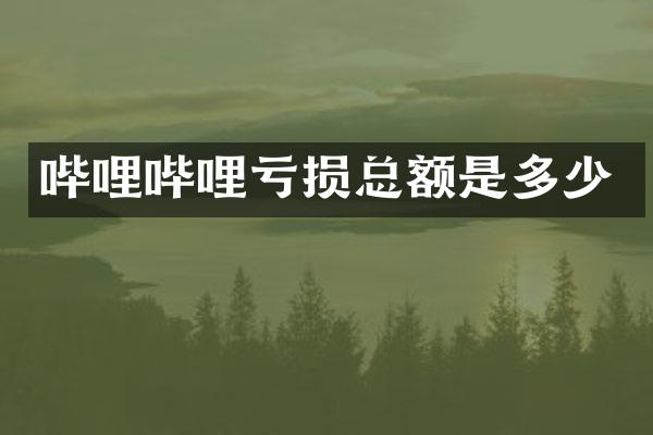 哔哩哔哩亏损总额是多少