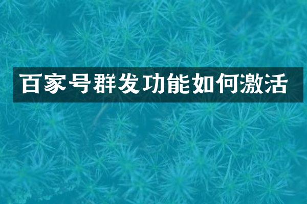 百家号功能如何激活
