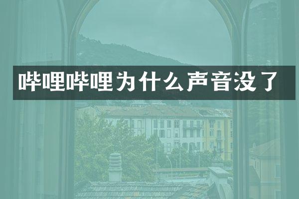 哔哩哔哩为什么声音没了