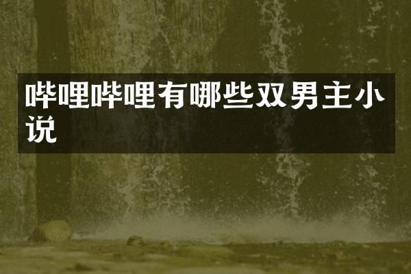 哔哩哔哩有哪些双男主小说