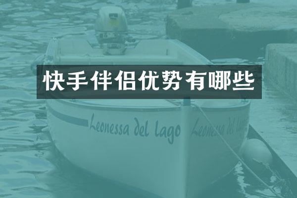 快手伴侣优势有哪些