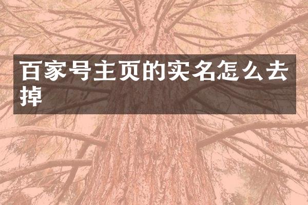 百家号主页的实名怎么去掉