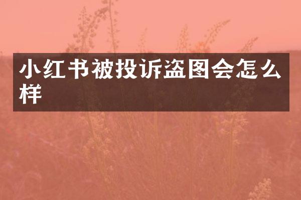 小红书被投诉盗图会怎么样