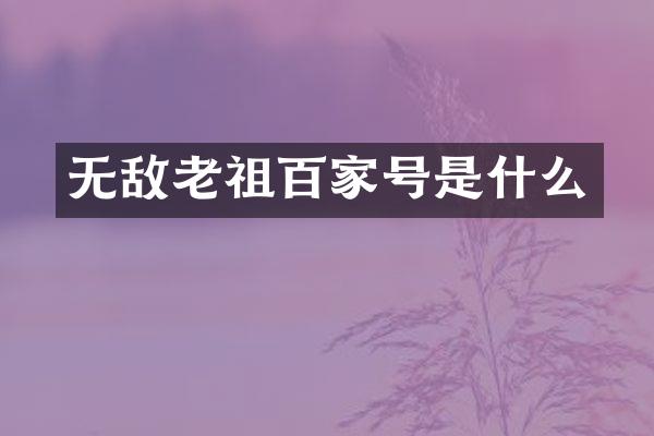无敌老祖百家号是什么
