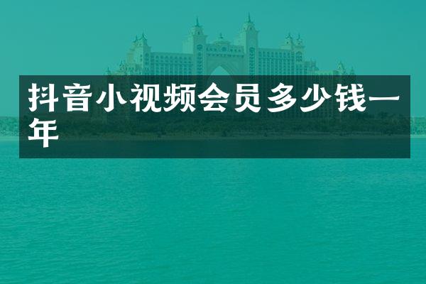 抖音小视频会员多少钱一年