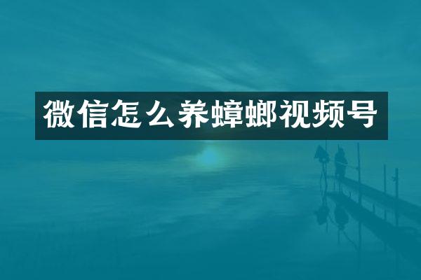 微信怎么养蟑螂视频号