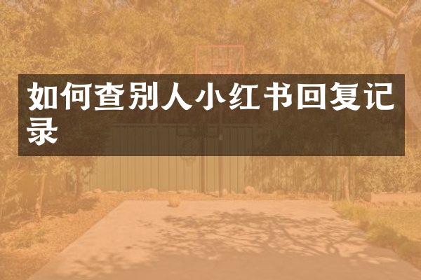 如何查别人小红书回复记录