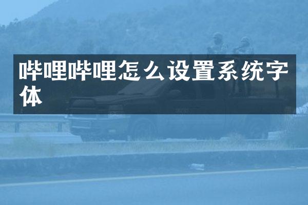 哔哩哔哩怎么设置系统字体