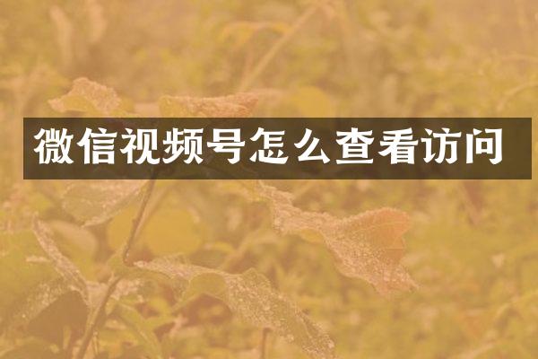 微信视频号怎么查看访问