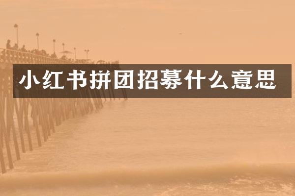 小红书拼团招募什么意思