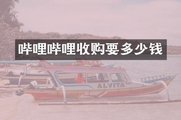哔哩哔哩收购要多少钱